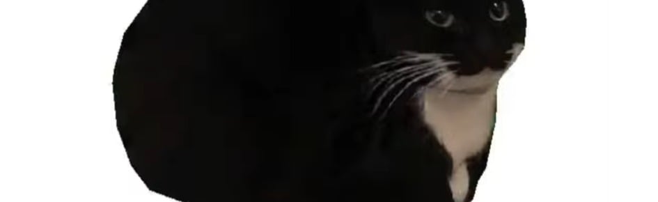 Maxwell Street Discord Server Banner