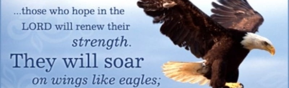 On the Wings of an Eagle Discord Server Banner