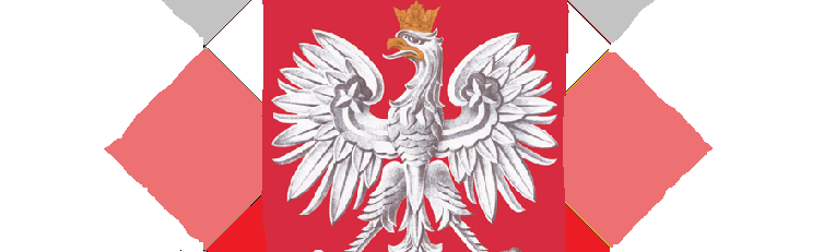 polandCHILLPIXEL Discord Server Banner