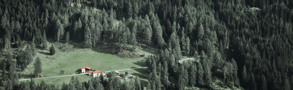 Rhythm-ctrl Discord Server Banner