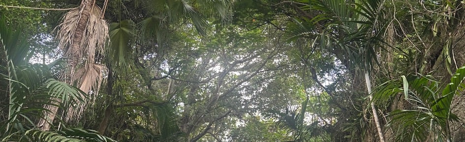 doom’s Discord Server Banner