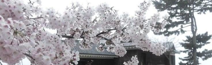 Monsuta Discord Server Banner