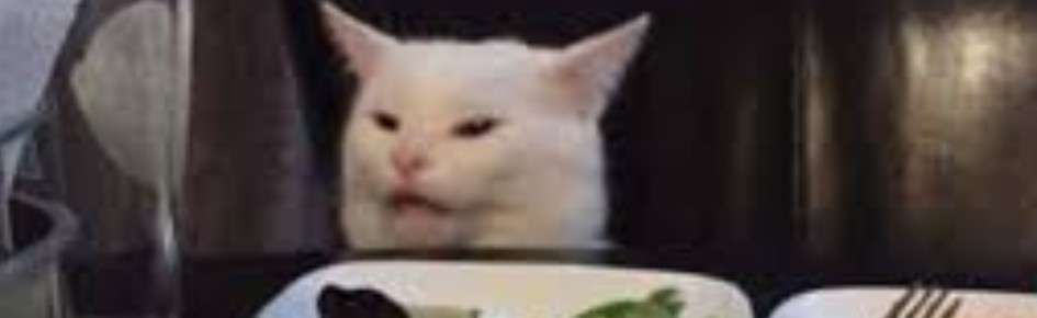 frog are litty Discord Server Banner