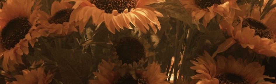 Shy Liyli Discord Server Banner