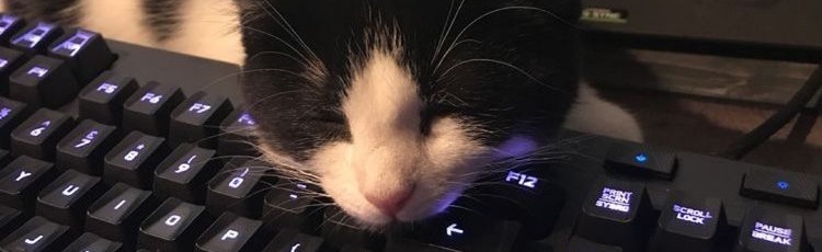 The Friend Hub! Discord Server Banner