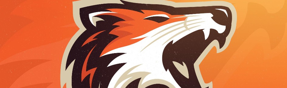 Foxy's server Discord Server Banner