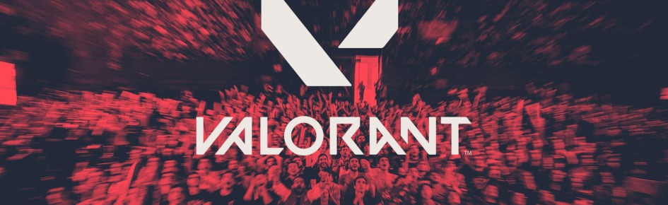 Valorant International Discord Server Banner