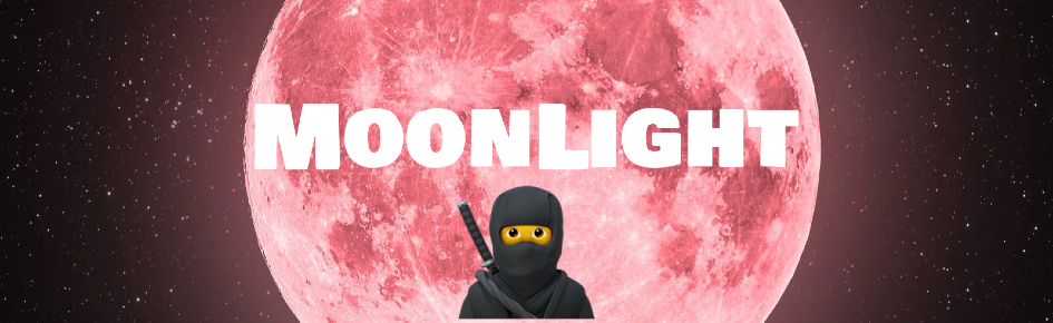 🌌MoonLight🌙 Discord Server Banner