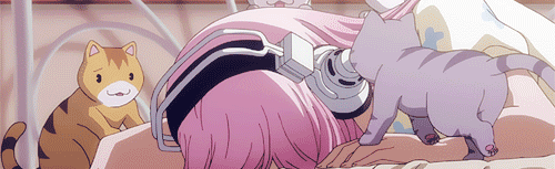 Unofficial official Discord Server Banner