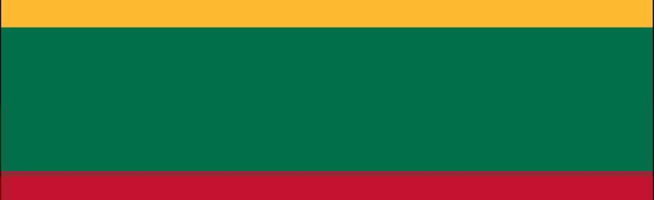 cool lithuania Discord Server Banner