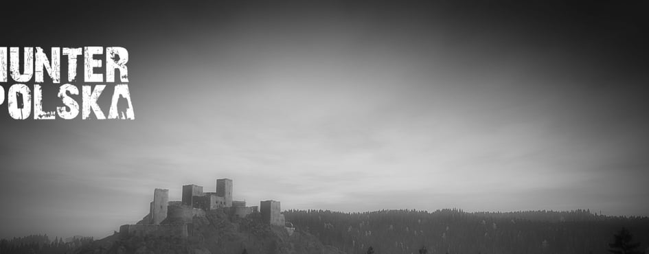 HUNTER POLSKA DAYZ Discord Server Banner