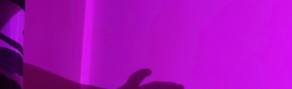 Eva's Emporium < 3 Discord Server Banner