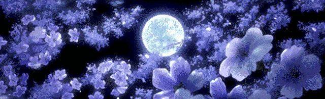 Astral Light Discord Server Banner