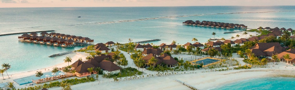 Paradise Palms? Discord Server Banner