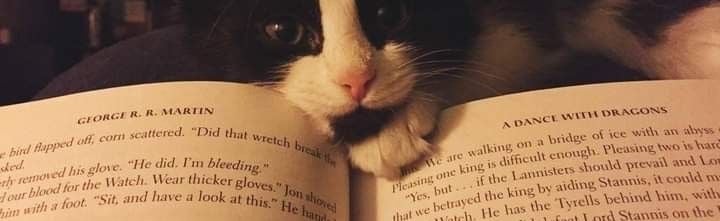 elysium (18+) Discord Server Banner