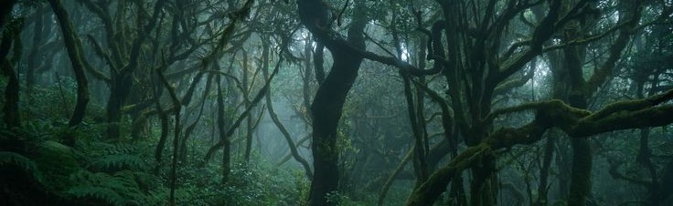 ᴄʜᴇʀʀʏ ᴡᴀᴠᴇꜱ ~ 🍒 Discord Server Banner