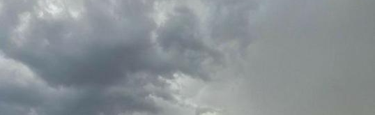 Zeon Team Discord Server Banner