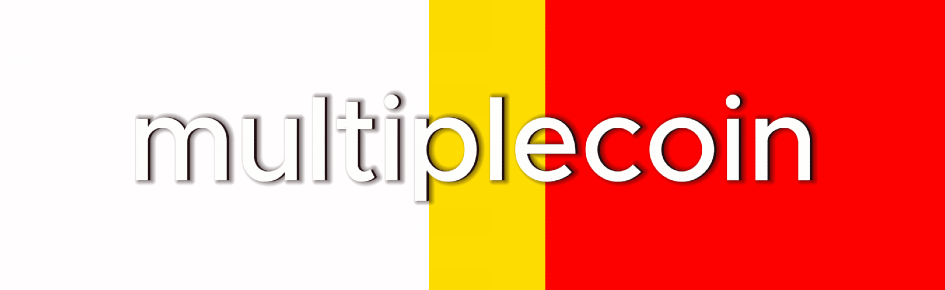 fights Discord Server Banner