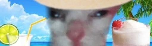 daz's people Discord Server Banner