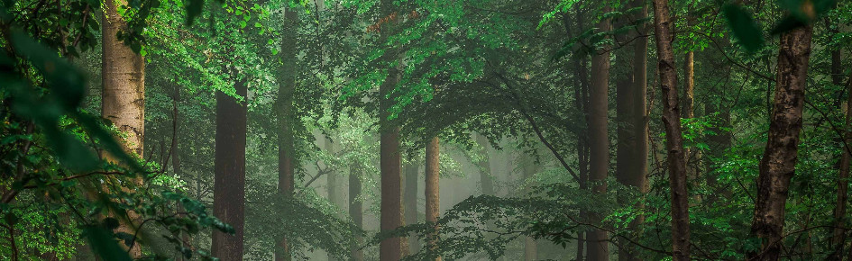 Atabey's Discord Server Banner