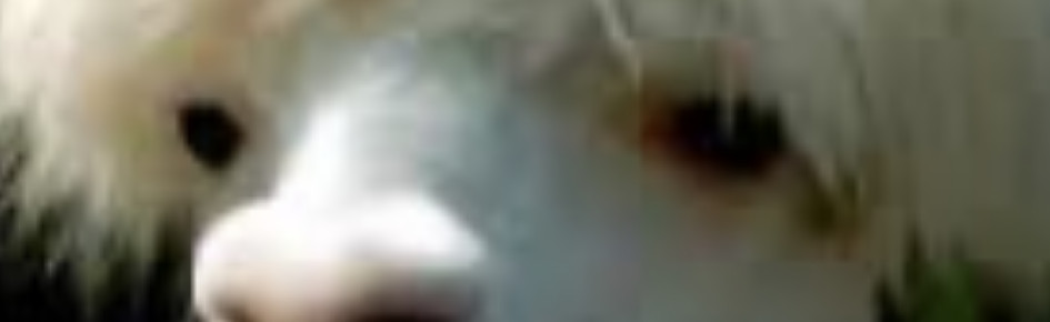 K-Pop Cakes Discord Server Banner