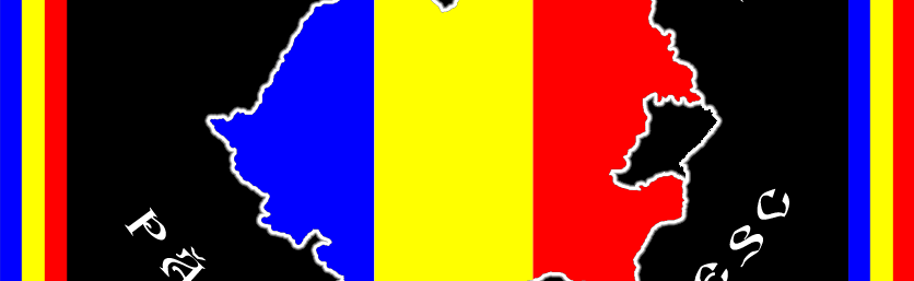 PIX BASARABIA Discord Server Banner