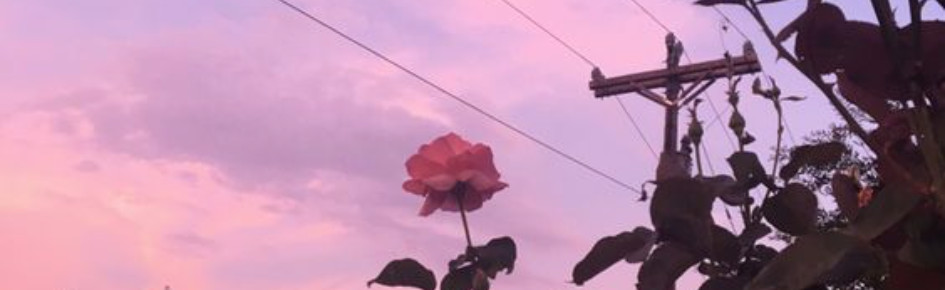 luminescence Discord Server Banner