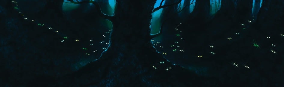 The Shadowed Outcasts Discord Server Banner