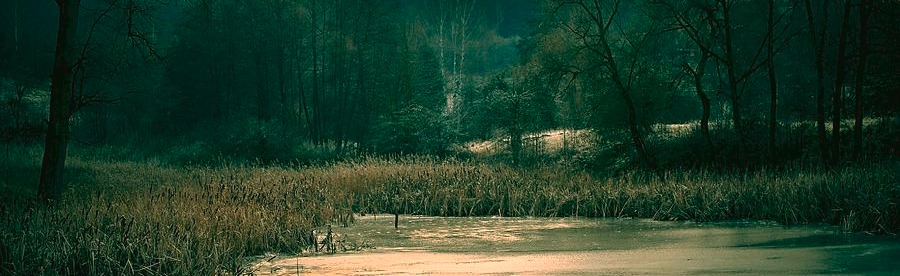 CelCom Discord Server Banner