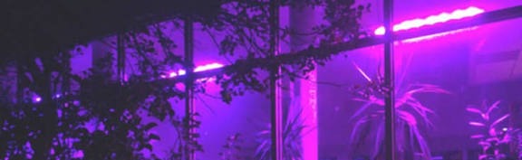 Twilight Tavern Discord Server Banner