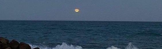 Enchanted Echoes Discord Server Banner