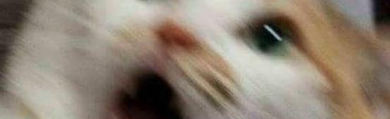 CommunityCulture Discord Server Banner