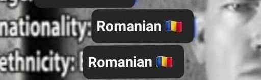 RoPPF Discord Server Banner