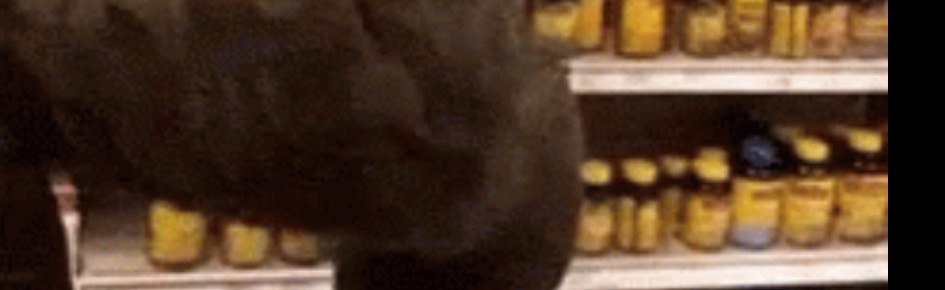 NoFac Discord Server Banner