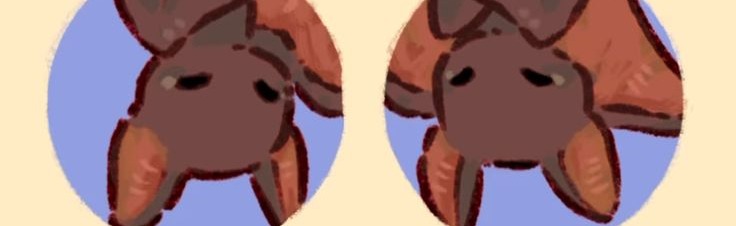 𝓢𝓸𝓾𝓹 𝓚𝓲𝓽𝓬𝓱𝓮𝓷 Discord Server Banner