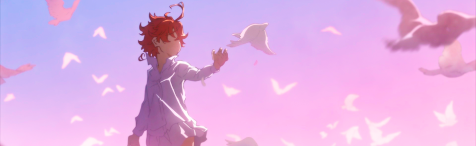 ✿ᩧ  ׅ  ૮  🇧🇷  ׄ  TPN BRASIL  ◔ Discord Server Banner