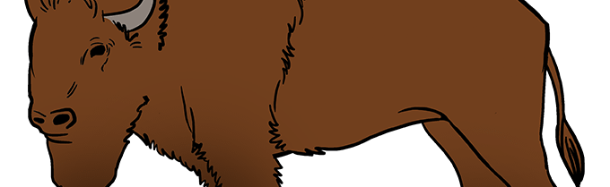 buffalo.net Discord Server Banner