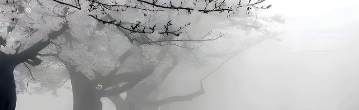 Buntea's Cafè♡♡ Discord Server Banner