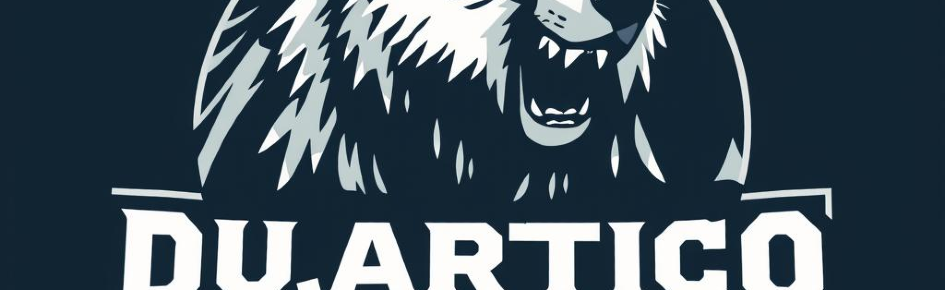 Du.artico Discord Server Banner