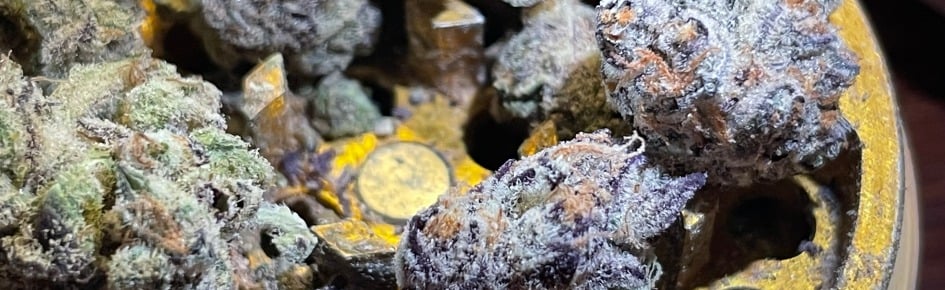 Maple Mob Discord Server Banner