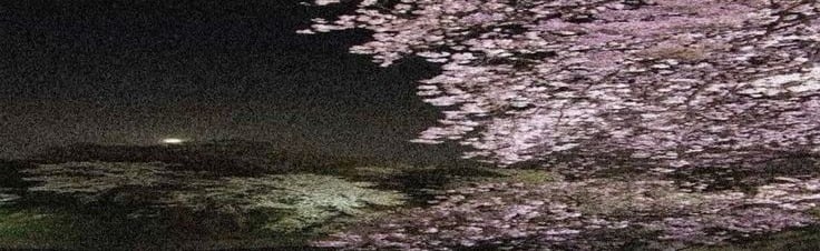 My Future Discord Server Banner