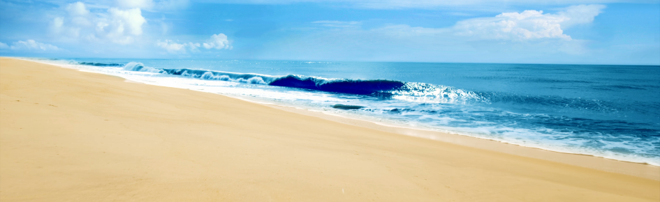 Tuhaf Denizciler Discord Server Banner