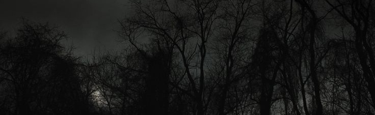 @vexo Discord Server Banner