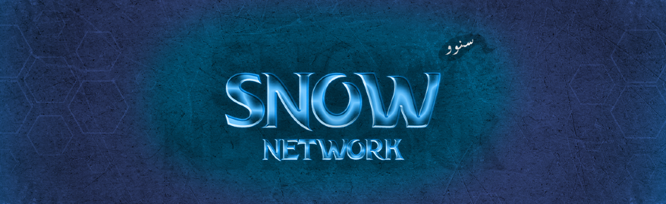 Snow Network Discord Server Banner