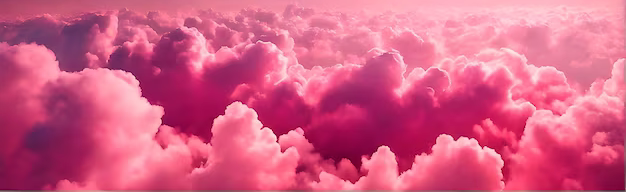 RoseVelvet 🌸 Discord Server Banner