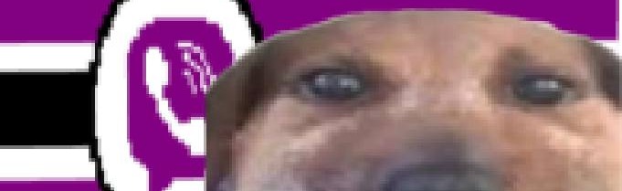 ViberPixel Discord Server Banner