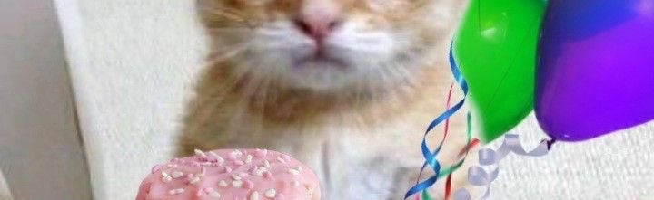 thigh island Discord Server Banner