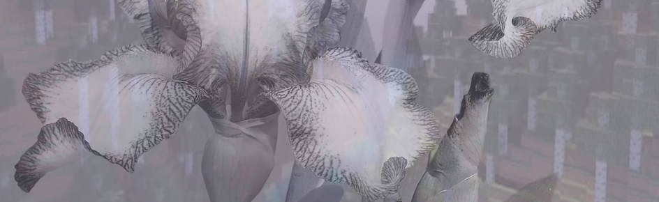 Iris Haven Discord Server Banner