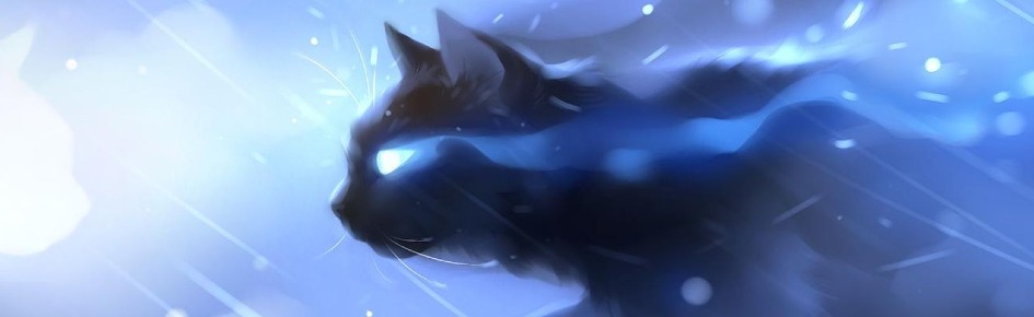 Nordic Irishmen Discord Server Banner