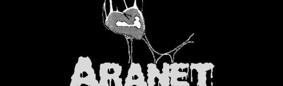 Aranet Discord Server Banner